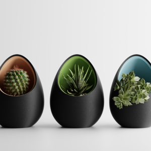 Dísznövény ültető tojás - Fekete-Fehér - otthon & életmód - virágdekoráció - virágtartó - Meska.hu