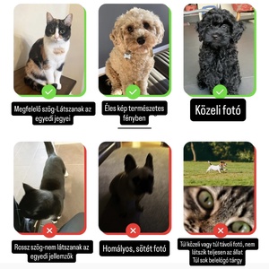 Egyedi kedvenc akvarell portré - művészet - festmény - akvarell - Meska.hu