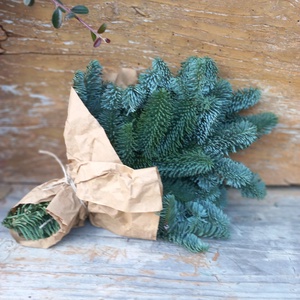 NOBILIS fenyő csokor - Meska.hu