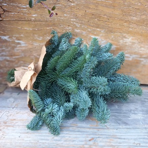 NOBILIS fenyő csokor - karácsony - adventi díszek - adventi asztaldísz - Meska.hu