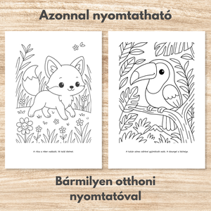 Színező gyerekeknek  Letölthető, azonnal nyomtatható  Állatok és természet (PDF, 20 oldal) - otthon & életmód - papír, írószer - színező - Meska.hu