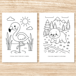 Színező gyerekeknek  Letölthető, azonnal nyomtatható  Állatok és természet (PDF, 20 oldal) - otthon & életmód - papír, írószer - színező - Meska.hu