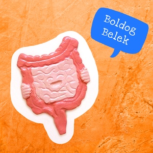 BOLDOG BELEK / Boldog emésztés , vékonybél, vastagbél, kerámia hűtőmágnes vagy szalagos dísz - művészet - más művészeti ág - Meska.hu