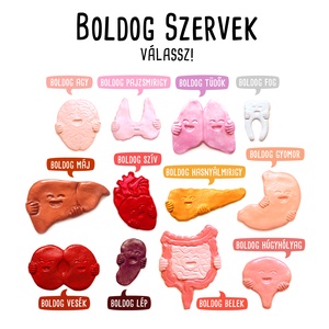 BOLDOG SZERVEK >> szív belek vesék húgyhólyag fog pajzsmirigy agy tüdők lép hasnyálmirigy máj hűtőmágnes, kabala - otthon & lakás - konyhafelszerelés, tálalás - konyhai dekoráció - hűtőmágnes - Meska.hu