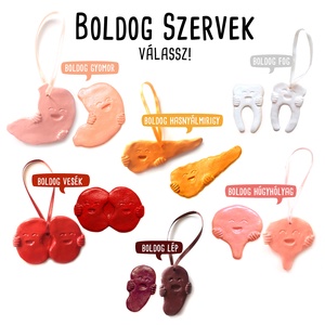 BOLDOG SZERVEK >> fog, gyomor, vesék, vese, húgyhólyag, lép, hasnyálmirigy hűtőmágnes, kabala - Meska.hu
