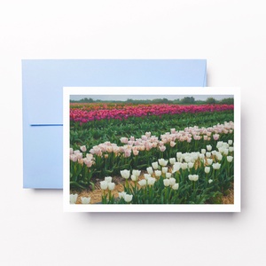 Képeslap-Tulipán mező művészi - Meska.hu