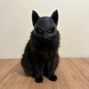 Batman Cica Maszk - Meska.hu