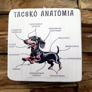 Tacskó anatómia vicces fatábla - otthon & életmód - dekoráció - fali és függő dekoráció - falra akasztható dekor - Meska.hu
