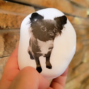 Egyedi,megrendelésre készült díszkő Rőzsike kutyussal - otthon & életmód - dekoráció - asztal és polc dekoráció - kavics & kő - Meska.hu