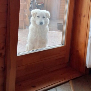 Egyedi saját fotó alapján készült fa falióra  - otthon & életmód - dekoráció - fali és függő dekoráció - falióra & óra - Meska.hu