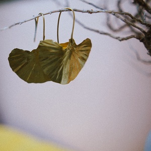 Sárgaréz ginko fülbevaló, Ékszer, Ékszerszett, , MESKA