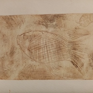 Barna hal rézkarc nyomat, Művészet, Grafika & Illusztráció, Művészi nyomat, Fémmegmunkálás, Gravírozás, pirográfia, MESKA