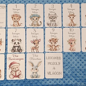 Mérföldkő kártyák állatos mintával, Játék & Sport, Babalátogató ajándékcsomag, Fotó, grafika, rajz, illusztráció, MESKA