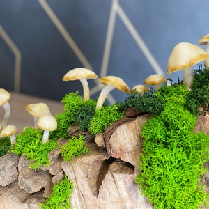 Fairy forest természet ihlette dekoráció, hangulatfény világító gombákkal - gomba lámpa - otthon & életmód - dekoráció - asztal és polc dekoráció - asztaldísz - Meska.hu