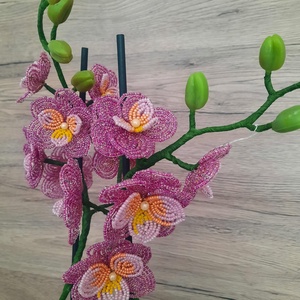 Gyöngy orchidea - otthon & életmód - dekoráció - asztal és polc dekoráció - asztaldísz - Meska.hu