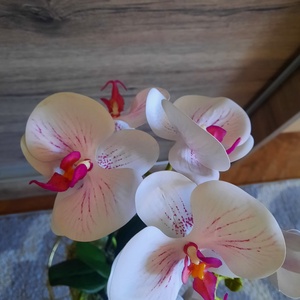 Élethű orchidea , Otthon & Lakás, Dekoráció, Asztal és polc dekoráció, Asztaldísz, Mindenmás, MESKA