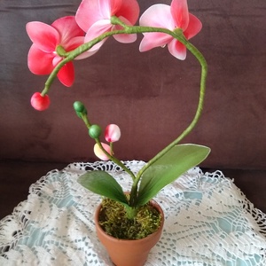 Orchidea harisnyából -  - Meska.hu