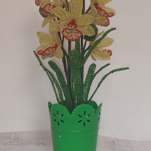 Sárga csónakorchidea - Meska.hu