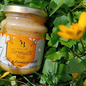 Virágporos krémméz (250g) � Természetes immunerősítő kúra, krémesített textúra - élelmiszer - méz & propolisz - Meska.hu