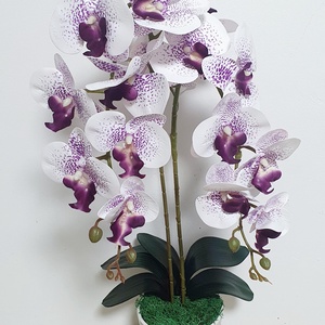 Örök Orchidea , Otthon & Életmód, Dekoráció, Virágdísz és tartó, Csokor & Virágdísz, Virágkötés, MESKA