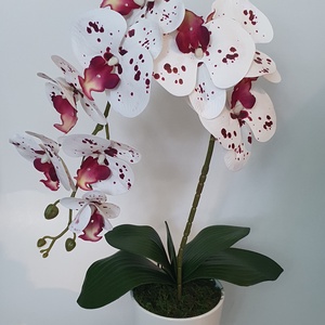 Örök Orchidea , Otthon & Életmód, Dekoráció, Virágdísz és tartó, Csokor & Virágdísz, Virágkötés, MESKA