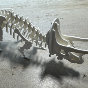 Triceratops csontváz kirakó 37db-os � összerakható dinoszaurusz modell - 3d nyotmatott - játék & sport - puzzle - 3d puzzle - Meska.hu