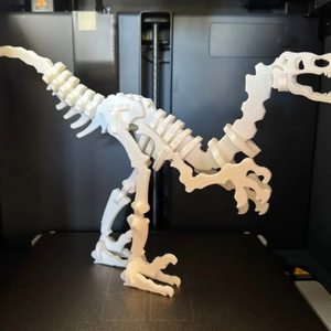 34 részes Velociraptor csontváz kirakó � 3D nyomtatott dinoszaurusz - Meska.hu