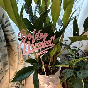 Boldog Nőnapot dekor beszúrható felirat, Otthon & Életmód, Virágdekoráció, Virágdíszítő kellékek, Mindenmás, MESKA