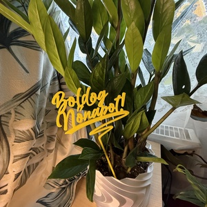 Boldog Nőnapot dekor beszúrható felirat - otthon & életmód - virágdekoráció - virágdíszítő kellékek - Meska.hu