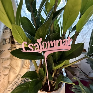 Csajomnak dekor beszúrható felirat, Otthon & Életmód, Virágdekoráció, Virágdíszítő kellékek, Mindenmás, MESKA