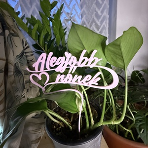 Legjobb nőnek dekor beszúrható felirat, Otthon & Életmód, Virágdekoráció, Virágdíszítő kellékek, Mindenmás, MESKA