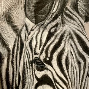 Rendelésre rajz / Zebra - művészet - grafika & illusztráció - egyéb rajzok - Meska.hu