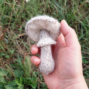 Kötött gyapjú gomba évszakasztalra - őzláb, Baba - mama, Baba játékok, Waldorf játékok, Kötés, Évszakasztalra való pici gomba.

Külső része alpakafonallal kötött, gyapjúval tömtem., MESKA