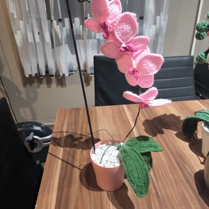 Horgolt orchidea , Otthon & Életmód, Dekoráció, Asztal és polc dekoráció, Asztaldísz, Horgolás, MESKA