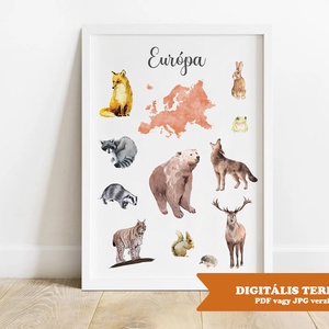 Európa állatvilága - nyomtatható képek, digitális formátumban, e-mailben, Otthon & Életmód, Poszter, Dekoráció, Kép & Falikép, Fotó, grafika, rajz, illusztráció, MESKA