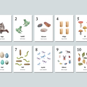 Számok 10-ig, tízig kártya - színes, kedves dizájnnal, Otthon & Életmód, Papír, írószer, Képeslap, üdvözlőlap, Fotó, grafika, rajz, illusztráció, Papírművészet, MESKA
