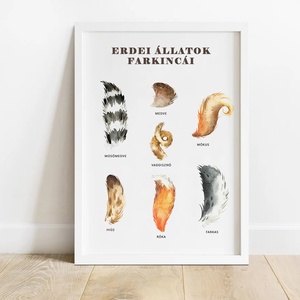 Erdei állatok farkincái poszter - medve, vaddisznó, hiúz, farkas, róka A4 méretben, keret nélkül, Otthon & Életmód, Dekoráció, Kép & Falikép, Poszter, Fotó, grafika, rajz, illusztráció, MESKA