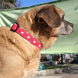 Kézzel készített mintás kutyanyakörv kistestű és kölyök kutyáknak � Szivecskés - Meska.hu