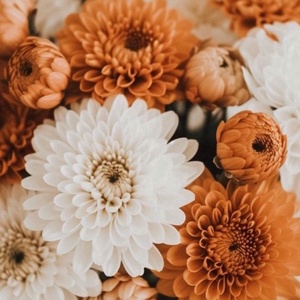 Barackszínű virágválogatás festmény (3. rész), Művészet, Festmény, Akril, Festészet, MESKA