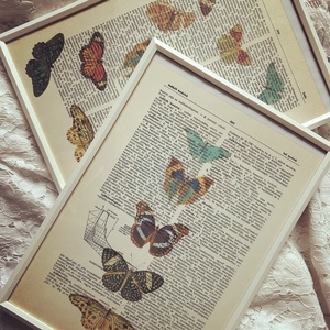 Pillangó lepke lexikon lapon könyv könyvlap, Művészet, Grafika & Illusztráció, Művészi nyomat, Fotó, grafika, rajz, illusztráció, MESKA