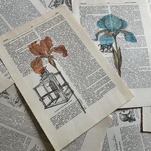 Virág, botanikus, nőszirom, kép, dekoráció, könyvlap, vintage - Meska.hu