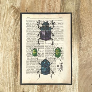 Bogarak bogaras, kép, könyv, könyvlap, lexikon lapon, nyomat, print, Otthon & Életmód, Dekoráció, Kép & Falikép, Poszter, Újrahasznosított alapanyagból készült termékek, Mindenmás, MESKA