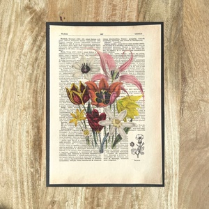 Tulipán tulipános tulipánok, kép, könyv, könyvlap, lexikon lapon, Otthon & Életmód, Dekoráció, Kép & Falikép, Poszter, Újrahasznosított alapanyagból készült termékek, Mindenmás, MESKA