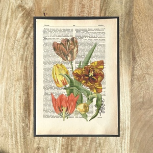 Tulipánok tulipános, könyv, könyvlap, lexikon lapon, Otthon & Életmód, Dekoráció, Kép & Falikép, Poszter, Újrahasznosított alapanyagból készült termékek, Mindenmás, MESKA