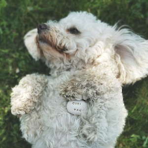 CUKI VAGY - Kerámia Varázskavics üzenettel, motivációs felirattal - esküvő - emlék & ajándék - köszönőajándék - Meska.hu