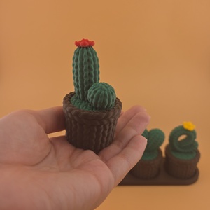 Valentin napi kaktusz - titkos tárolóval - otthon & életmód - dekoráció - dísztárgy - Meska.hu