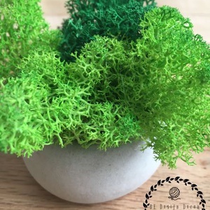 Beton mini kaspó zuzmóval - otthon & életmód - dekoráció - virágdísz és tartó - cserép & kaspó - Meska.hu