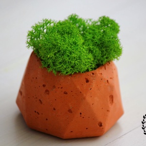 Nyolcszögű beton kaspó zuzmóval - Meska.hu