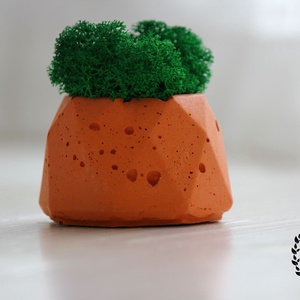 Nyolcszögű beton kaspó zuzmóval - otthon & életmód - dekoráció - virágdísz és tartó - cserép & kaspó - Meska.hu