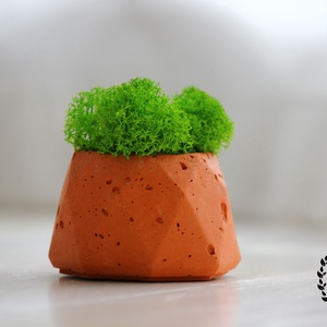 Nyolcszögű beton kaspó zuzmóval - otthon & életmód - dekoráció - virágdísz és tartó - cserép & kaspó - Meska.hu